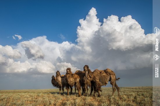 Western Kazakhstan - Mangystau region landscape photo 6