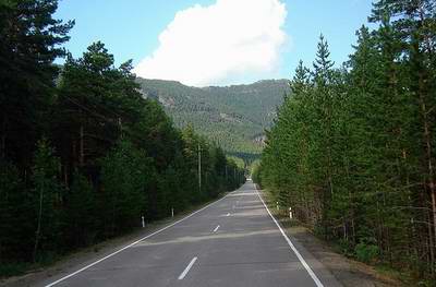 Akmola Kazakhstan region (oblast) forest road photo