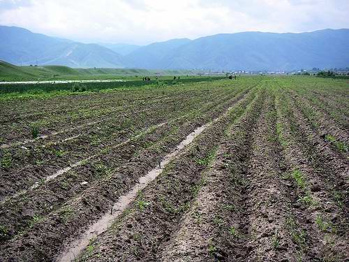 Almaty (Alma-Ata) Kazakhstan region nature views 5th picture