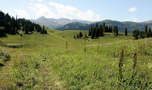 East Kazakhstan region (oblast) of Kazakhstan views - beautiful nature 4th photo