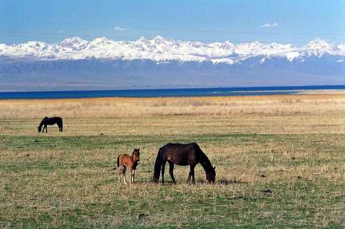 Kazakhstan steppes landscapes 1st photo