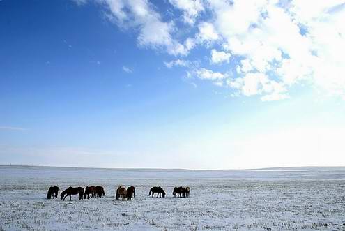 Kazakhstan steppes landscapes 2nd photo