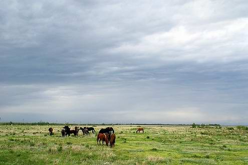 Kazakhstan steppes landscapes 3rd photo