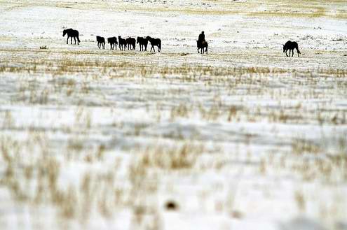 Kazakhstan steppes landscapes 4th photo