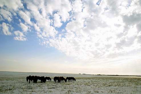 Kazakhstan steppes landscapes 5th photo