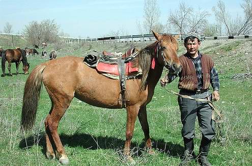 Kazakhstan horses and people relations 8th photo