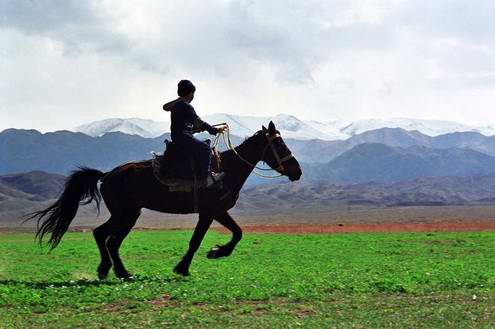 Kazakhstan horses and people relations 10th photo