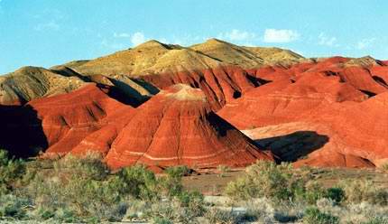 Kazakhstan flora and fauna: Kazakhstan nature views 15th picture