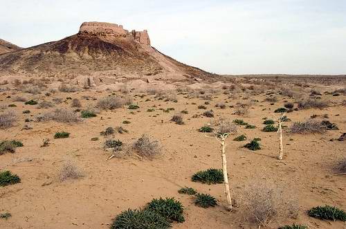 Kzyl-Orda (Kyzylorda) Kazakhstan region (oblast) ancient fortress 2nd photo