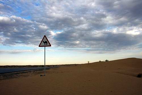 Kzyl-Orda (Kyzylorda) Kazakhstan region (oblast) road sign 'Attention! Camels' photo