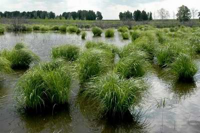 North Kazakhstan region (oblast) Kazakhstan nature views 1st photo