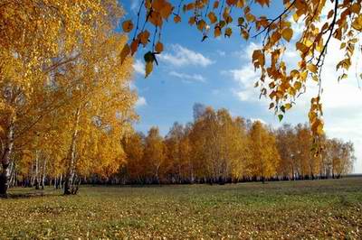 North Kazakhstan region (oblast) Kazakhstan sceneries 1st photo