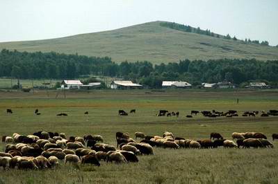 North Kazakhstan region (oblast) Kazakhstan sceneries 3rd photo