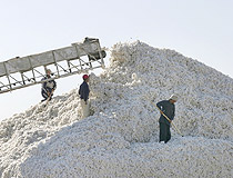 Kazakhstan agriculture cotton gathering