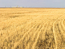 Kazakhstan agriculture wheat field