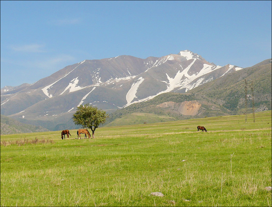 http://aboutkazakhstan.com/images/south-kazakhstan-region-nature.jpg