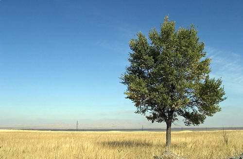 South Kazakhstan region (oblast), Kazakhstan landscapes 2nd photo