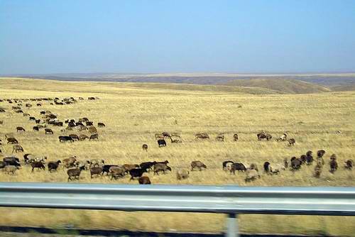 Zhambyl (Dzhambul) Kazakhstan region (oblast) view photo