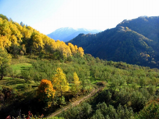 Butakovka valley, Kazakhstan view