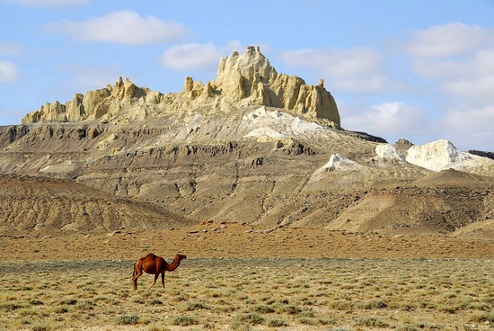 Mangystau oblast, Kazakhstan landscape 8