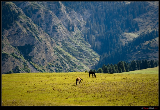 Dzungarian Alatau mountain range, Kazakhstan view 7