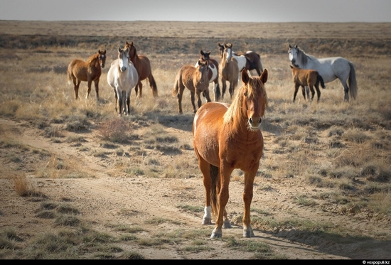 Semipalatinsk nuclear test site, Kazakhstan view 7