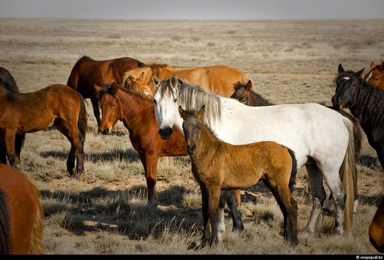 Semipalatinsk nuclear test site, Kazakhstan view 8