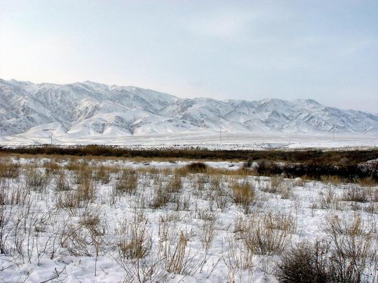 Kazakhstan - The hunt with tame hawks and falcons view 2