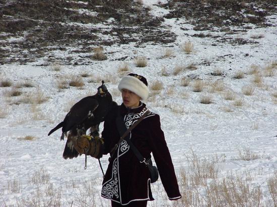 Kazakhstan - The hunt with tame hawks and falcons view 4