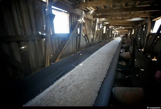 Salt production, the Aral Sea area, Kazakhstan view 13