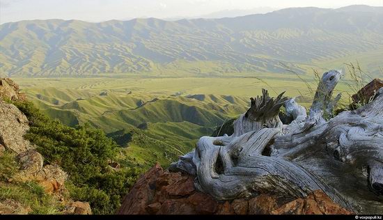 Picturesque view of Zhambyl oblast, Kazakhstan 15