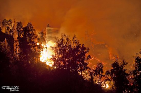 Large wildfire, Medeo, Almaty, Kazakhstan photo 1