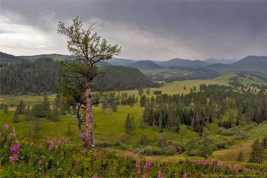 Markakolsky State Nature Reserve, Kazakhstan photo 1