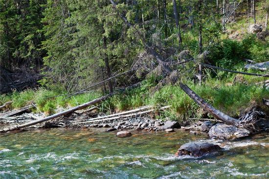 Markakolsky State Nature Reserve, Kazakhstan photo 11