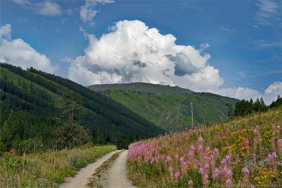 Markakolsky State Nature Reserve, Kazakhstan photo 12