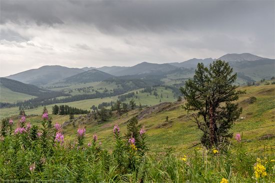 Markakolsky State Nature Reserve, Kazakhstan photo 15