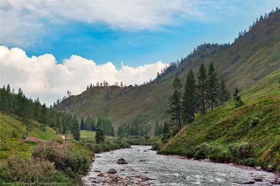 Markakolsky State Nature Reserve, Kazakhstan photo 6