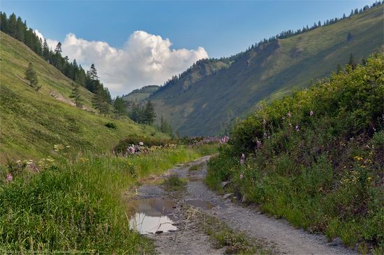 Markakolsky State Nature Reserve, Kazakhstan photo 7