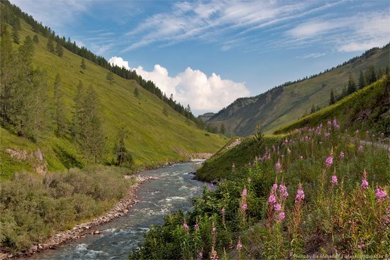 Markakolsky State Nature Reserve, Kazakhstan photo 8