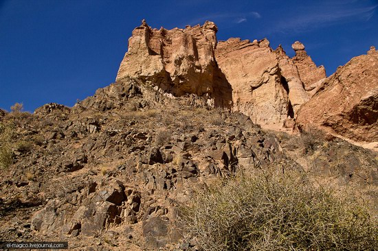 Unique nature of Charyn Canyon, Kazakhstan photo 14