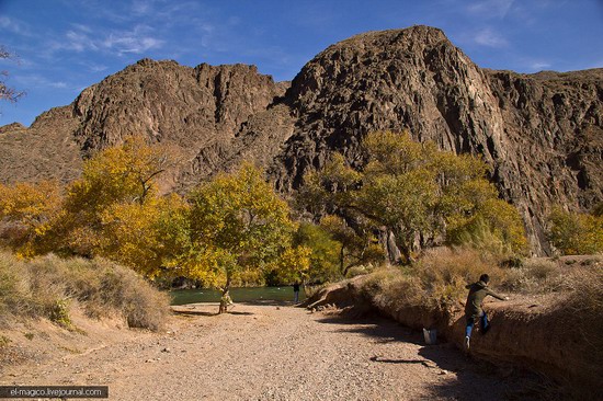 Unique nature of Charyn Canyon, Kazakhstan photo 21