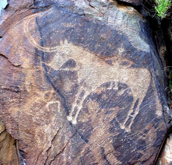 Tamgaly Gorge ancient rock carvings, Kazakhstan photo 12