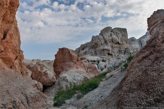 Flaming shores of Zaysan Lake, Kazakhstan photo 10