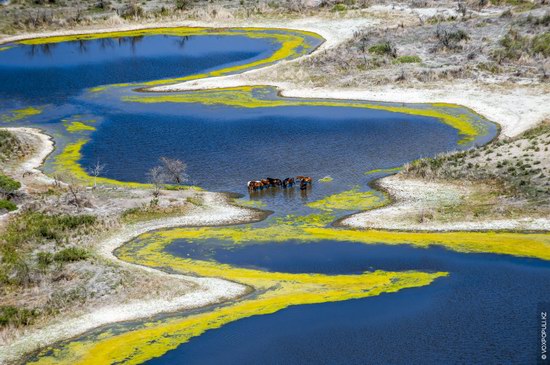 South-East Kazakhstan landscape photo 10