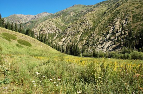 Hiking in Dzhungar Alatau, Kazakhstan photo 15