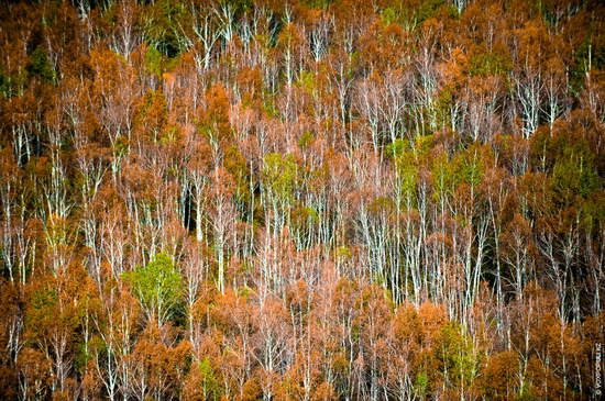 Autumn in the Mountains of East Kazakhstan, photo 5