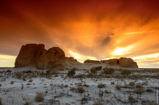 Expedition to Kyzylorda Region, Kazakhstan, photo 1