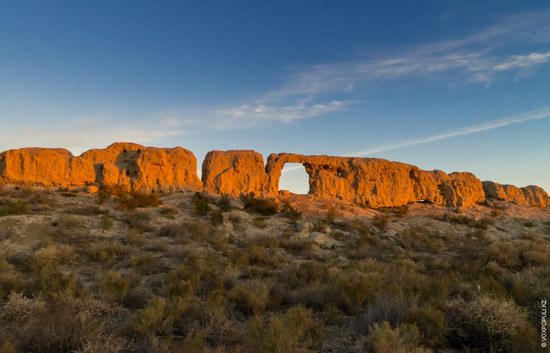 Expedition to Kyzylorda Region, Kazakhstan, photo 15