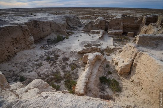 Expedition to Kyzylorda Region, Kazakhstan, photo 17