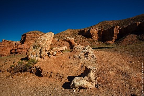 Charyn Canyon, Kazakhstan, photo 16